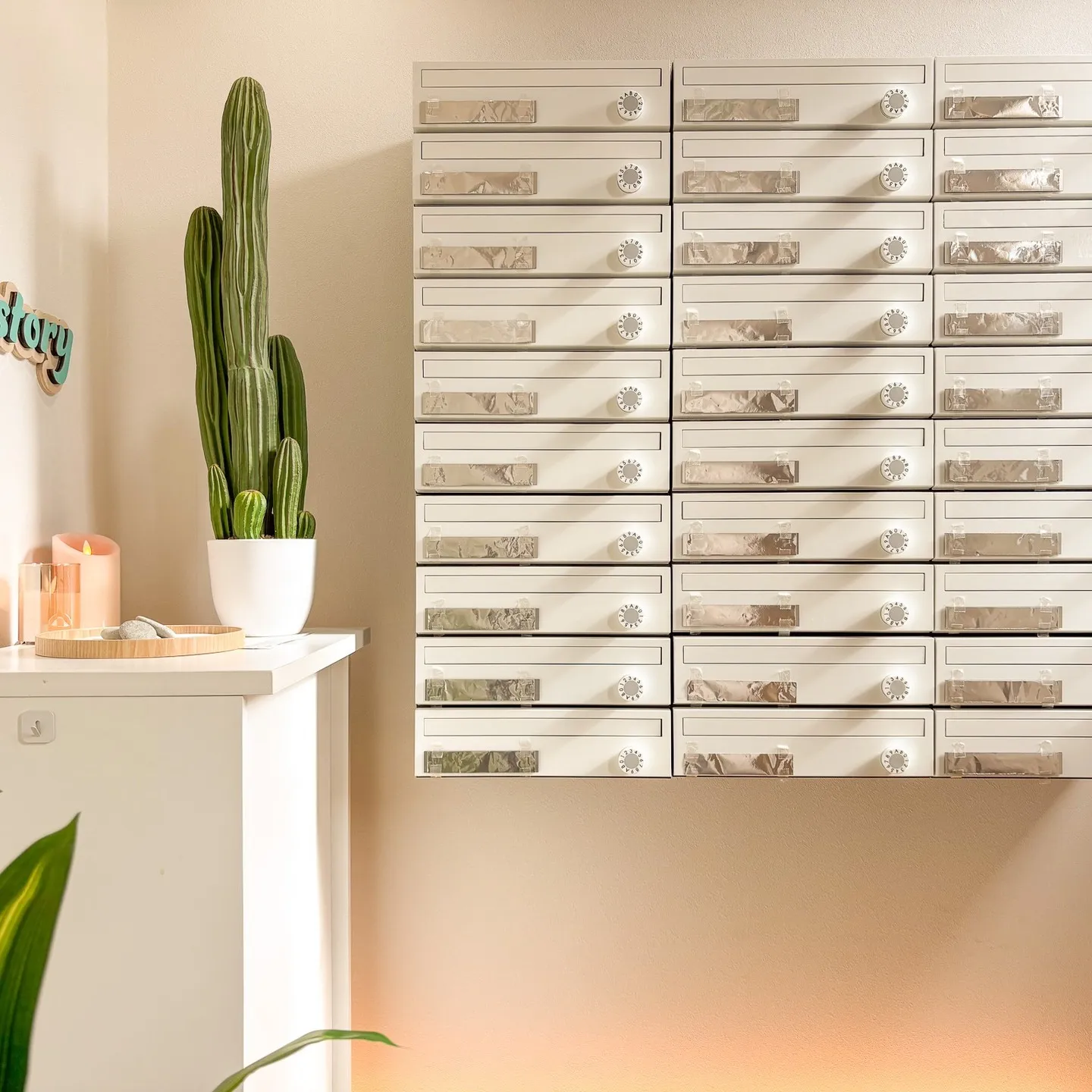 Oasistoryの空間は、砂漠・中立・森・泉でできている