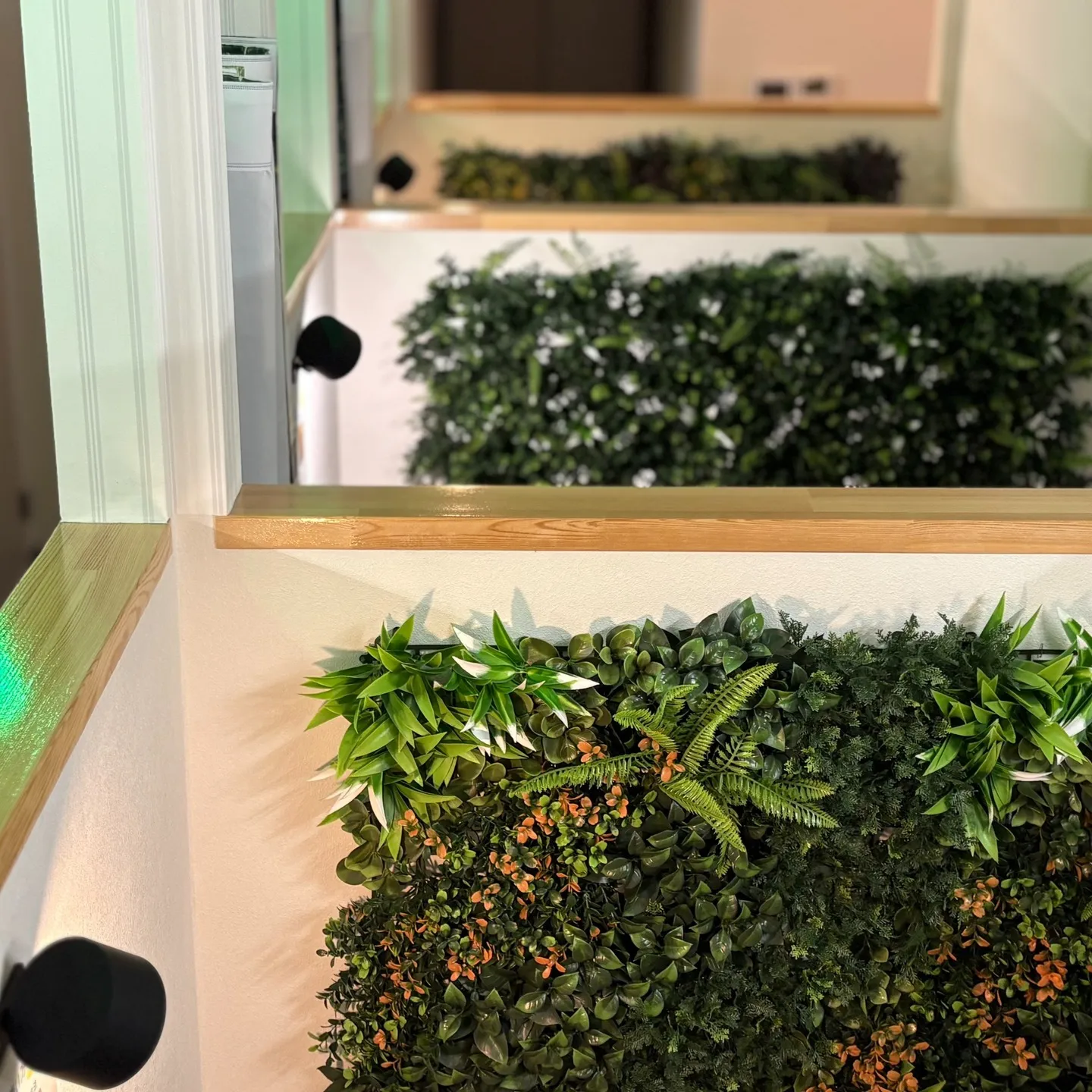 Oasistoryの空間は、